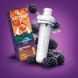 Картридж для Cirkul Blackberry Tea Gateway Tea 20 мл | UrbanGood